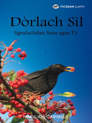 cover image of Dòrlach Sil
